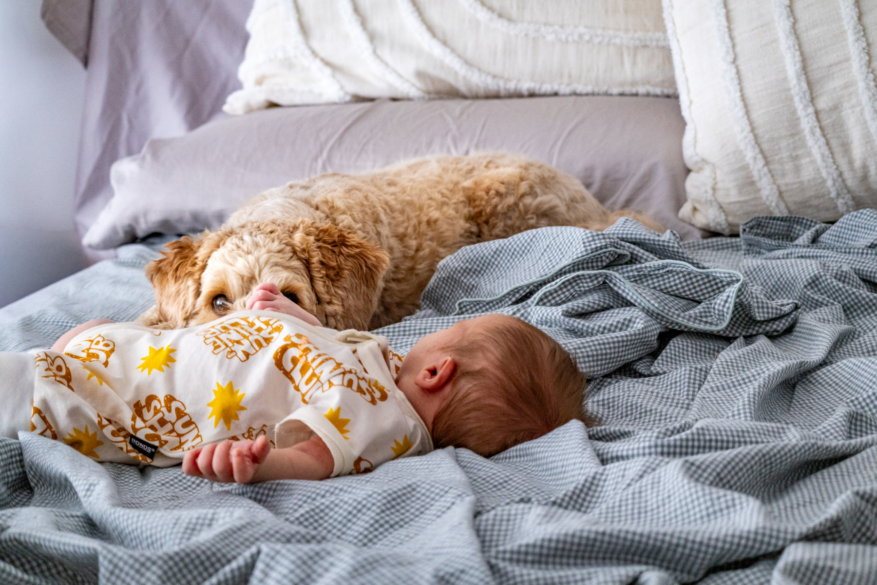 Best newborn photographer in Perth candid moments